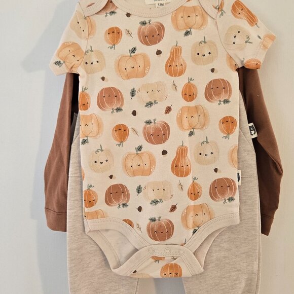 Rabbit bear organic fall pumpkin harvest baby boys 4 piece set 12m - Picture 5 of 12